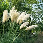 Nocleg ze śniadaniem Les Jardins De La Ferme Soumagne