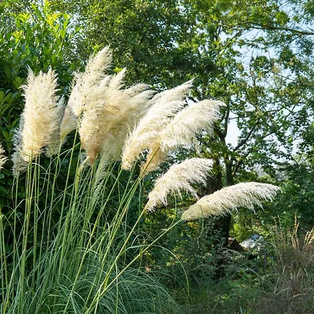 Oda ve Kahvaltı Les Jardins De La Ferme Soumagne