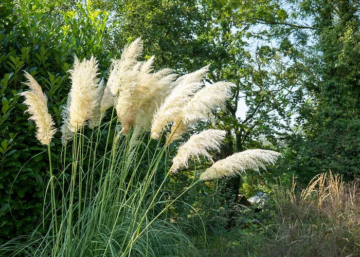Bed & Breakfast Les Jardins De La Ferme Soumagne